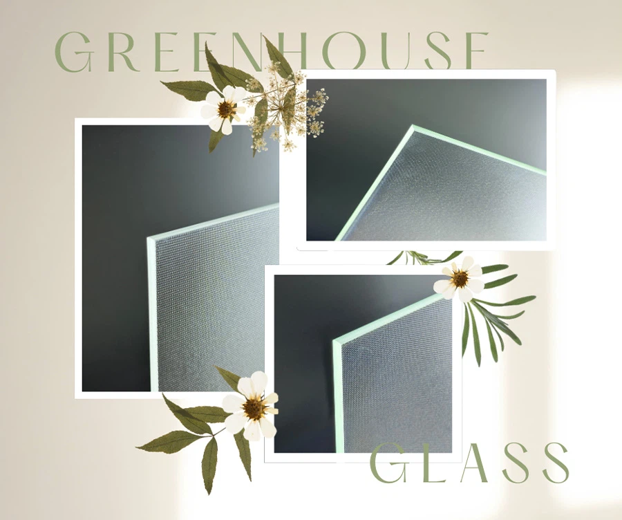 Greenhouse Glass 51 Greenhouse Glass 51